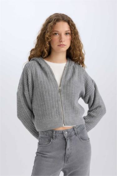 Regular Fit Kapüşonlu Fermuarlı Triko Hırka