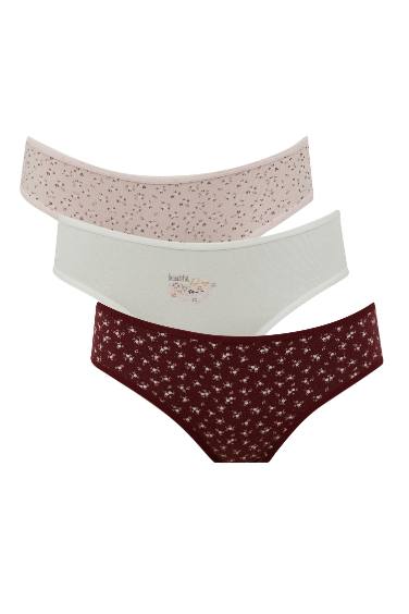 Fall in Love 3 Piece Slip Panties