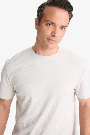 Cotton Regular Fit Crew Neck Heavy Fabric T-Shirt