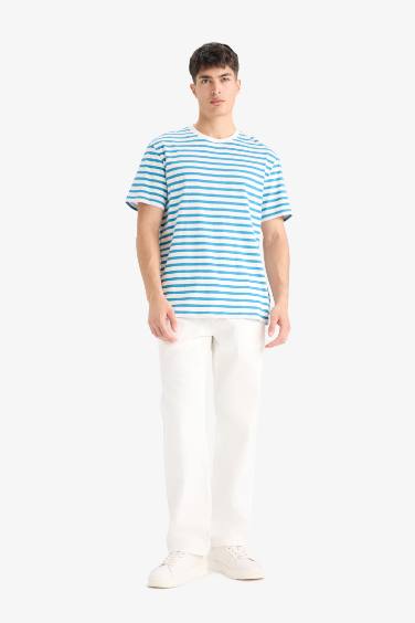 Cotton Regular Fit Crew Neck Cotton Striped T-Shirt