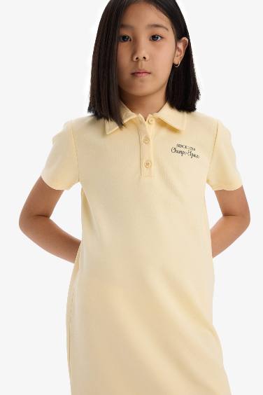 Short Sleeve Knitted Dress