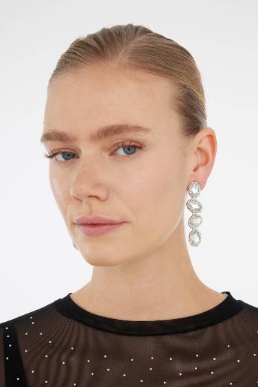 Woman Shiny Stone Silver Earrings