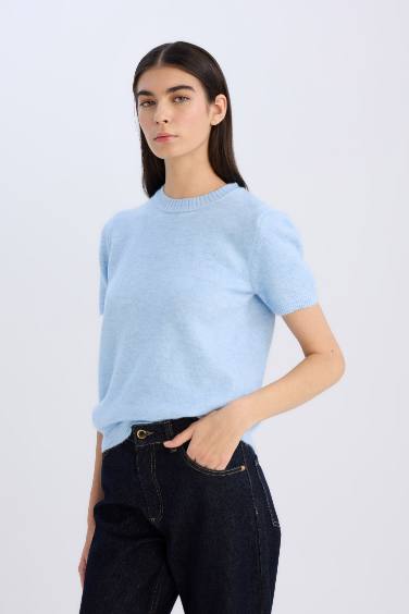 Regular Fit Crew Neck Basic Knitted Pullover