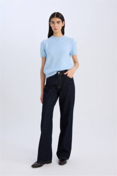 Regular Fit Crew Neck Basic Knitted Pullover