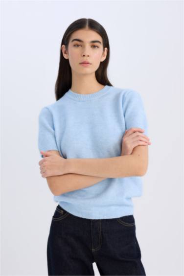 Regular Fit Crew Neck Basic Knitted Pullover