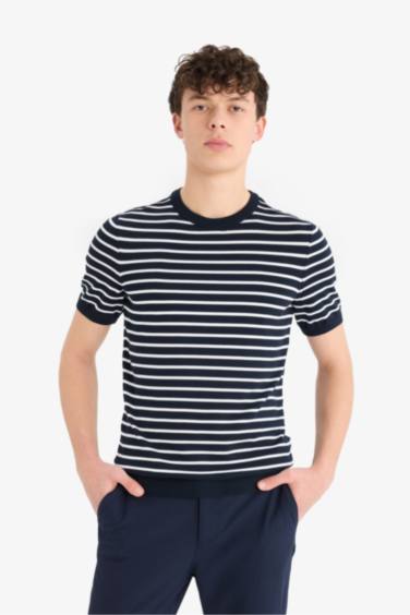 Standard Fit Crew Neck Striped Knit T-Shirt