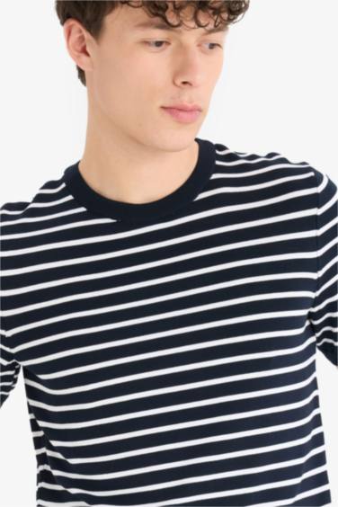 Standard Fit Crew Neck Striped Knit T-Shirt