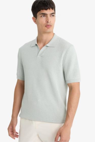 Standard Fit Knit Polo T-Shirt