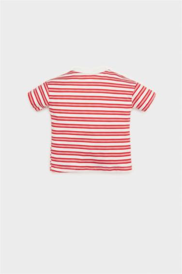 تيشيرت ولادي نص ردن قصة عادية