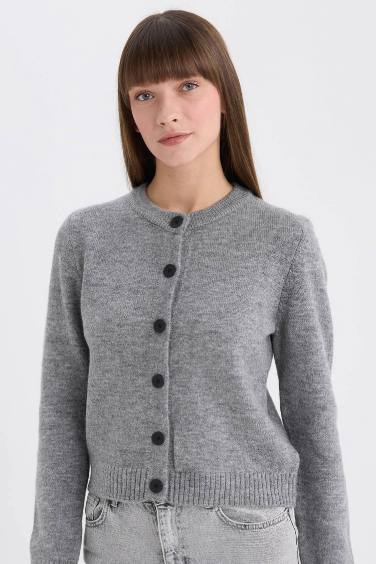 Regular Fit Crew Neck Basic Knitwear Cardigan