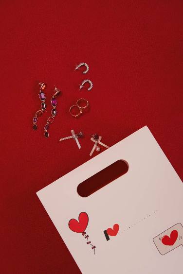 Woman Red Long Earrings