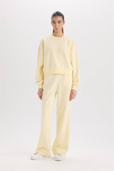 Boxy Fit Crew Neck Basic Thick Sweatshirt