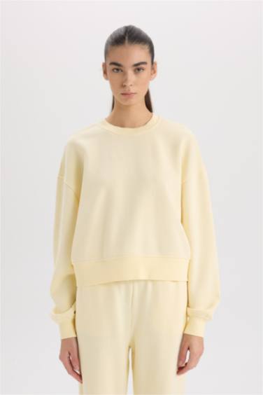 Boxy Fit Crew Neck Basic Thick Sweatshirt