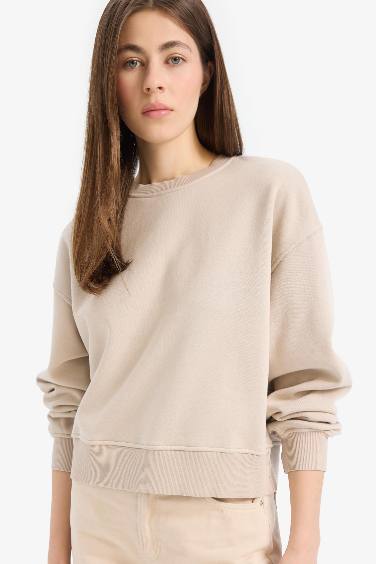 Boxy Fit Crew Neck Basic Thick Sweatshirt