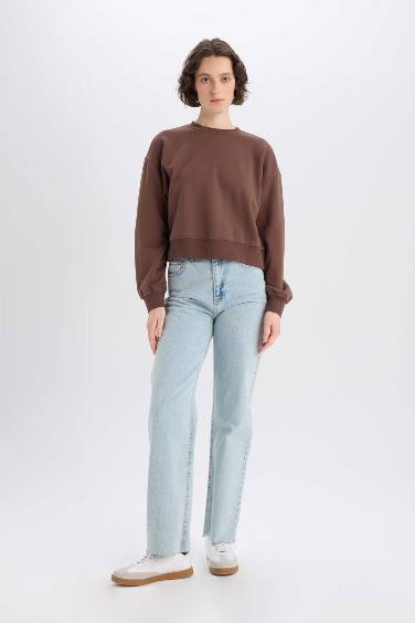 Boxy Fit Basic Sweatshirt