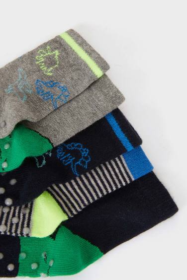 Baby Boy Animal 5 Piece Long sock