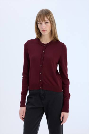 جاكيت قصة عادية بياخة مستديرة