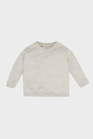 Regular Fit Crew Neck Sweatshirt