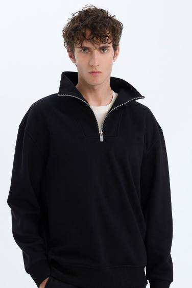 Relax Fit Stand Collar Zippered Basic Thick Sweatshirt