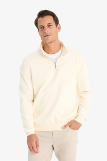 Relax Fit Stand Collar Zippered Basic Thick Sweatshirt