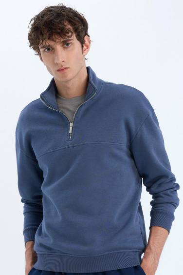 Relax Fit Stand Collar Zippered Basic Thick Sweatshirt