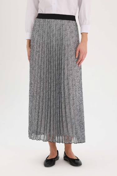 Pleat Printed Chiffon Maxi Skirt