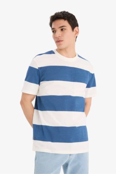 Cotton Regular Fit Crew Neck Striped T-Shirt