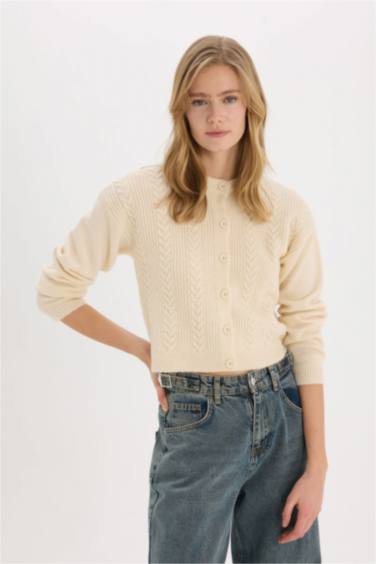 Basic Düz Bisiklet Yaka Triko Hırka