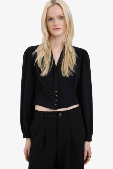 Slim Fit V-Neck Long Sleeve Blouse