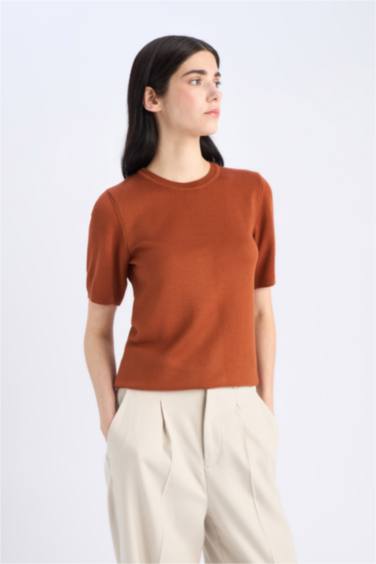 Regular Fit Crew Neck Pullover