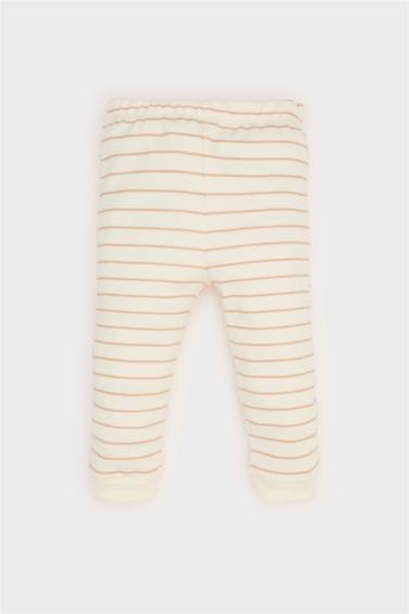 Baby Boy Dinosaur Printed Long Sleeve 2 Piece Pajama Set