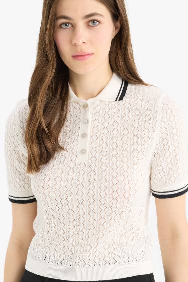 Regular Fit Polo Collar Pullover