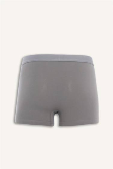 Regular Fit 3'lü Boxer