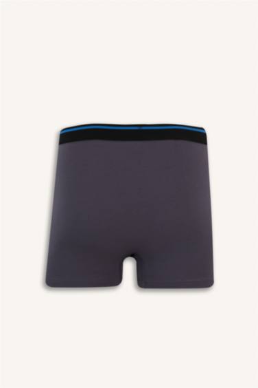 Regular Fit 3'lü Boxer