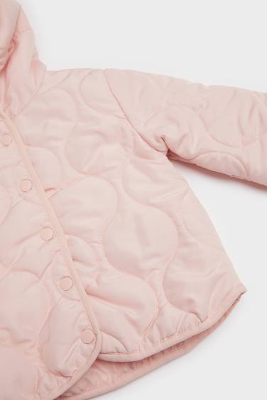 Baby Girl Windproof Waterproof Quilted Hooded Puffer Jacket