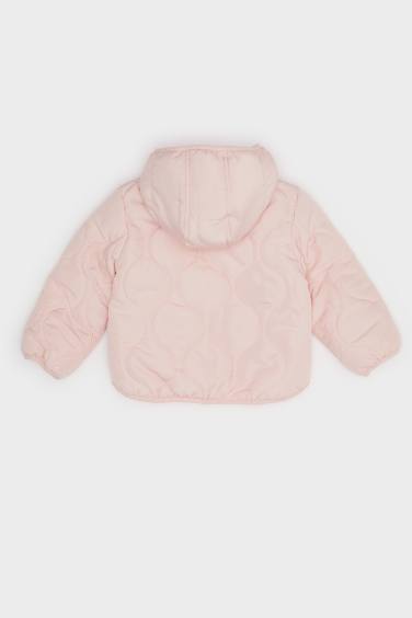 Baby Girl Windproof Waterproof Quilted Hooded Puffer Jacket