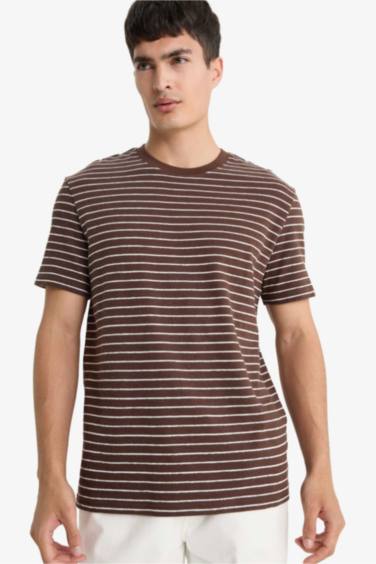 Regular Fit Crew Neck Striped T-Shirt
