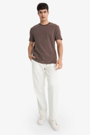 Regular Fit Crew Neck Striped T-Shirt