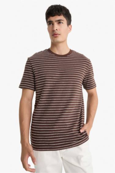 Regular Fit Crew Neck Striped T-Shirt