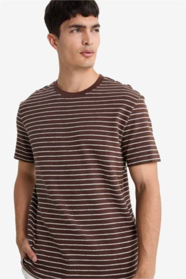 Regular Fit Crew Neck Striped T-Shirt