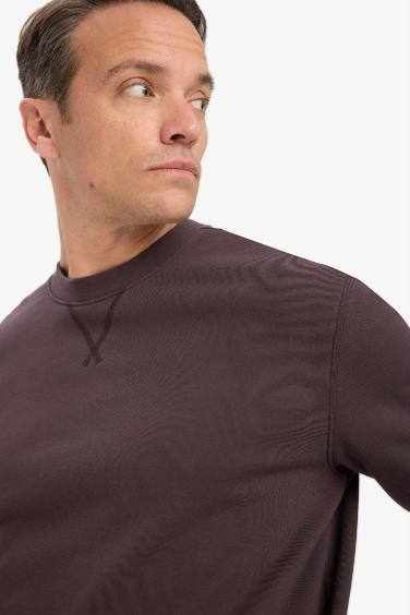 %100 Pamuk Regular Fit Bisiklet Yaka Sweatshirt