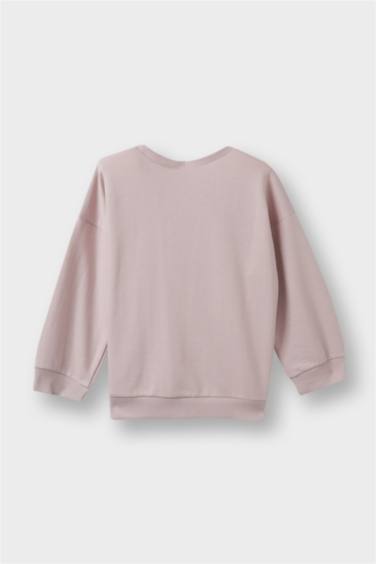 Baby Girl Regular Fit Crew Neck Floral Sweatshirt