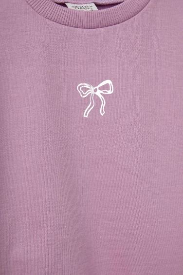 Baby Girl Regular Fit Soft Fleece Thin Fabric Sweatshirt