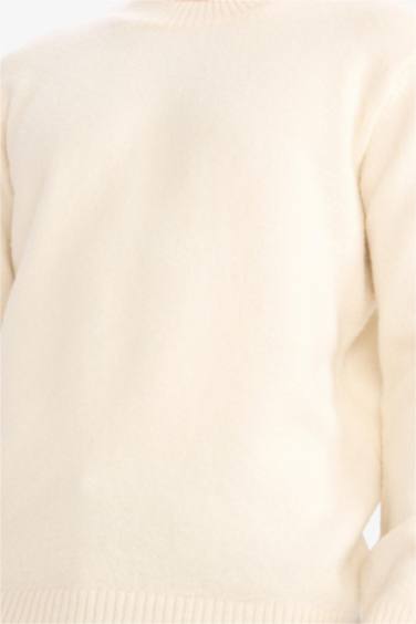 Pull en tricot à col rond Coupe décontractée