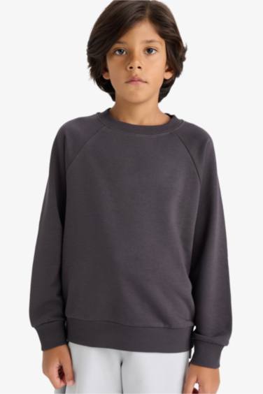 Boy Basic Crew Neck Sweatshirt