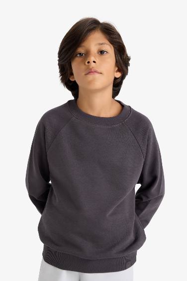 Boy Basic Crew Neck Sweatshirt