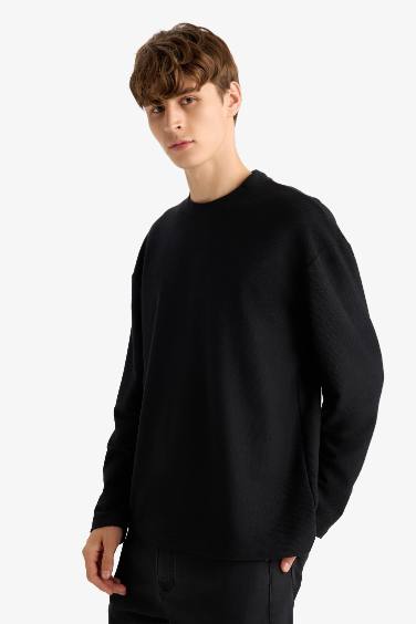 Boxy Fit Crew Neck Cotton Long Sleeve T-Shirt