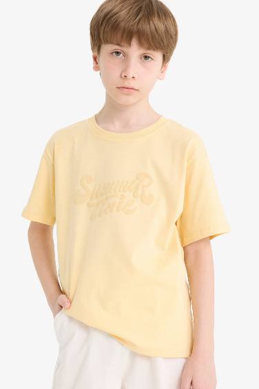 Boy Regular Fit Crew Neck Embroidered T-Shirt