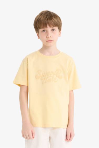 Boy Regular Fit Crew Neck Embroidered T-Shirt