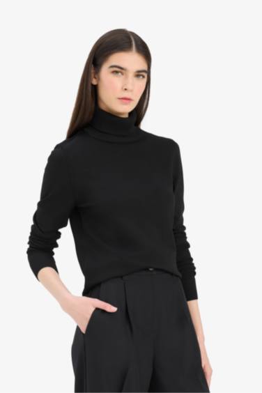 Regular Fit Half Turtleneck Pullover
